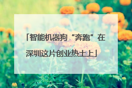 智能机器狗“奔跑”在深圳这片创业热土上