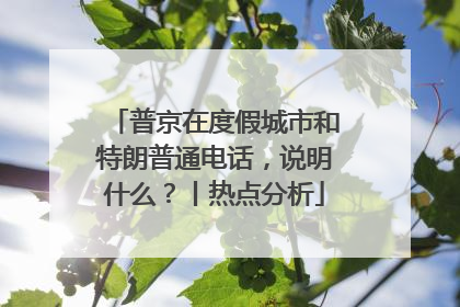 普京在度假城市和特朗普通电话，说明什么？丨热点分析