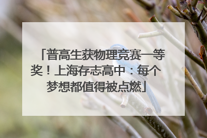 普高生获物理竞赛一等奖！上海存志高中：每个梦想都值得被点燃
