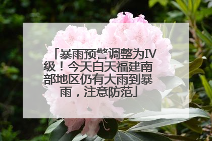 暴雨预警调整为Ⅳ级！今天白天福建南部地区仍有大雨到暴雨，注意防范