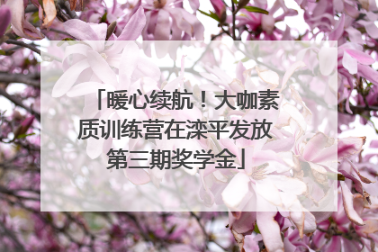 暖心续航！大咖素质训练营在滦平发放第三期奖学金
