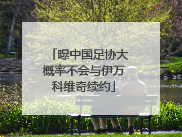 曝中国足协大概率不会与伊万科维奇续约