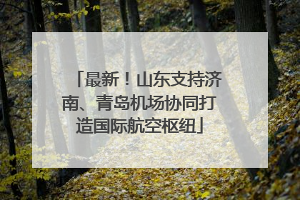 最新！山东支持济南、青岛机场协同打造国际航空枢纽
