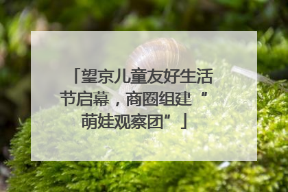 望京儿童友好生活节启幕，商圈组建“萌娃观察团”