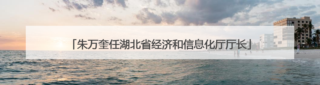 朱万奎任湖北省经济和信息化厅厅长