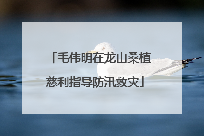 毛伟明在龙山桑植慈利指导防汛救灾