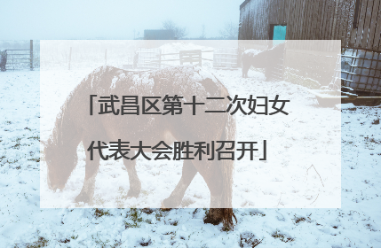 武昌区第十二次妇女代表大会胜利召开