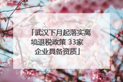 武汉下月起落实离境退税政策 33家企业具备资质