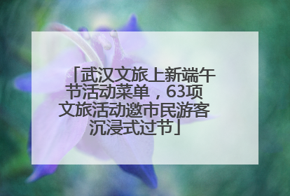 武汉文旅上新端午节活动菜单，63项文旅活动邀市民游客沉浸式过节