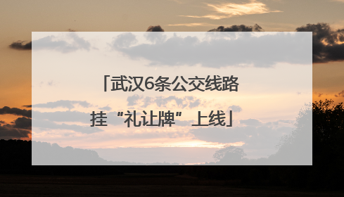 武汉6条公交线路挂“礼让牌”上线
