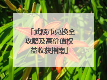 武陵币兑换全攻略及高价值权益收获指南