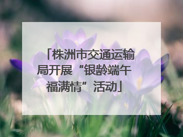 株洲市交通运输局开展“银龄端午福满情”活动