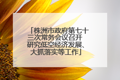 株洲市政府第七十三次常务会议召开 研究低空经济发展、大抓落实等工作