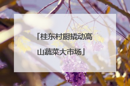 桂东村厨撬动高山蔬菜大市场