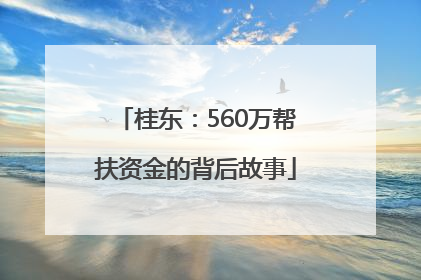 桂东：560万帮扶资金的背后故事