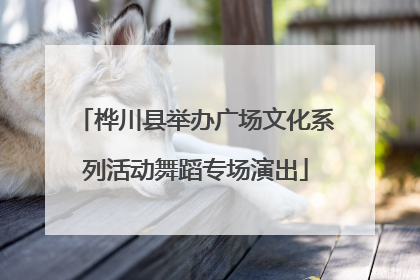 桦川县举办广场文化系列活动舞蹈专场演出
