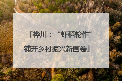 桦川：“虾稻轮作”铺开乡村振兴新画卷