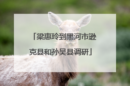 梁惠玲到黑河市逊克县和孙吴县调研