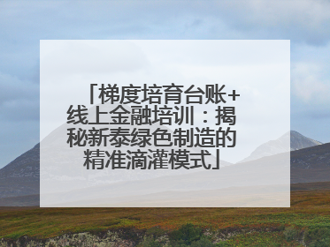 梯度培育台账+线上金融培训：揭秘新泰绿色制造的精准滴灌模式