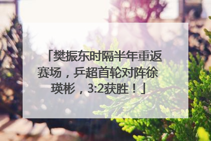 樊振东时隔半年重返赛场，乒超首轮对阵徐瑛彬，3:2获胜！