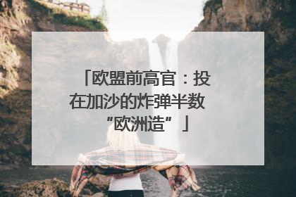 欧盟前高官：投在加沙的炸弹半数“欧洲造”