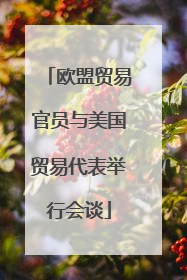 欧盟贸易官员与美国贸易代表举行会谈
