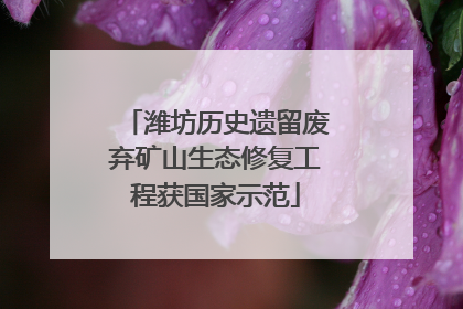 潍坊历史遗留废弃矿山生态修复工程获国家示范