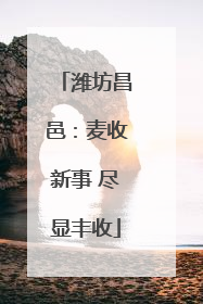 潍坊昌邑：麦收新事 尽显丰收