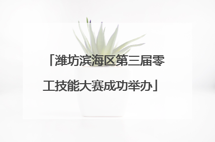 潍坊滨海区第三届零工技能大赛成功举办