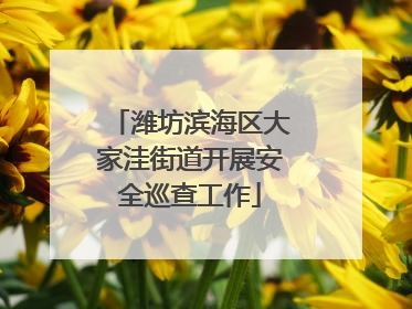 潍坊滨海区大家洼街道开展安全巡查工作