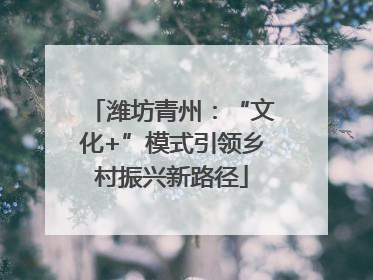 潍坊青州：“文化+”模式引领乡村振兴新路径