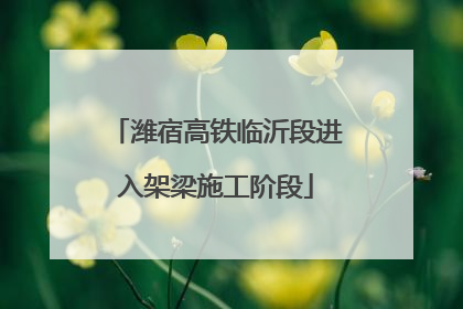 潍宿高铁临沂段进入架梁施工阶段