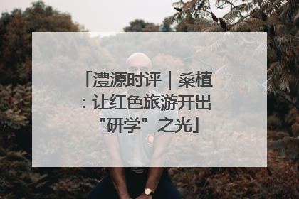 澧源时评｜桑植：让红色旅游开出“研学”之光