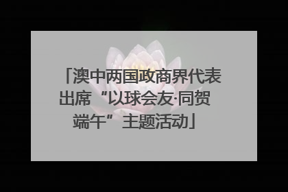 澳中两国政商界代表出席“以球会友·同贺端午”主题活动