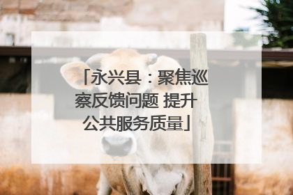 永兴县：聚焦巡察反馈问题 提升公共服务质量