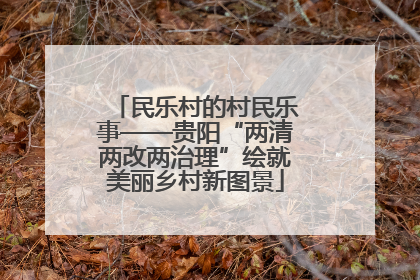 民乐村的村民乐事——贵阳“两清两改两治理”绘就美丽乡村新图景