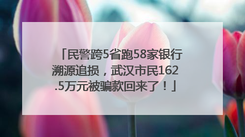 民警跨5省跑58家银行溯源追损，武汉市民162.5万元被骗款回来了！