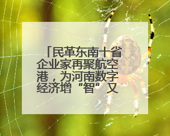 民革东南十省企业家再聚航空港，为河南数字经济增“智”又增“势”
