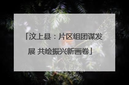 汶上县：片区组团谋发展 共绘振兴新画卷