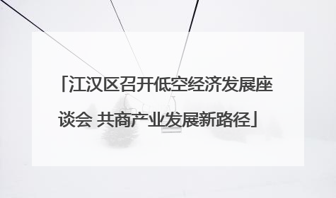江汉区召开低空经济发展座谈会 共商产业发展新路径