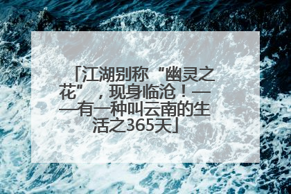 江湖别称“幽灵之花”，现身临沧！——有一种叫云南的生活之365天