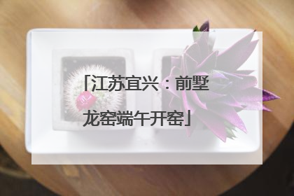 江苏宜兴：前墅龙窑端午开窑