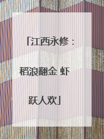 江西永修：稻浪翻金 虾跃人欢