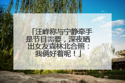 汪峰称与宁静牵手是节目需要，深夜晒出女友森林北合照：我俩好着呢！