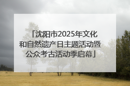 沈阳市2025年文化和自然遗产日主题活动暨公众考古活动季启幕
