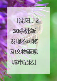 沈阳：230余处新发现不可移动文物重现城市记忆