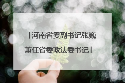 河南省委副书记张巍兼任省委政法委书记