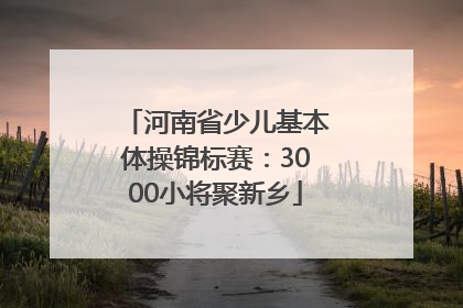 河南省少儿基本体操锦标赛：3000小将聚新乡