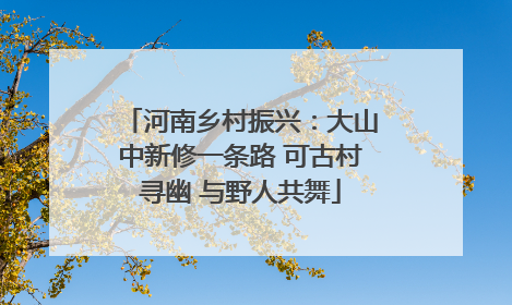 河南乡村振兴：大山中新修一条路 可古村寻幽 与野人共舞