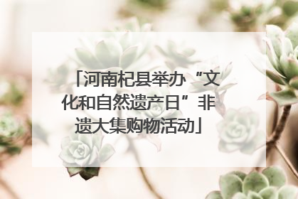 河南杞县举办“文化和自然遗产日”非遗大集购物活动